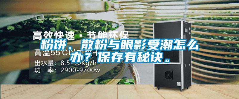 粉餅、散粉與眼影受潮怎么辦？保存有秘訣。
