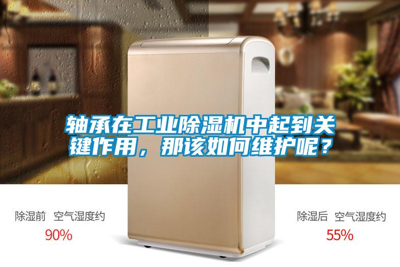軸承在工業除濕機中起到關鍵作用，那該如何維護呢？