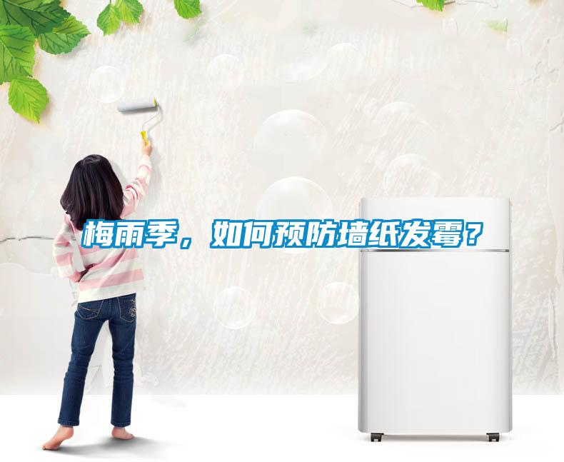 梅雨季，如何預(yù)防墻紙發(fā)霉？
