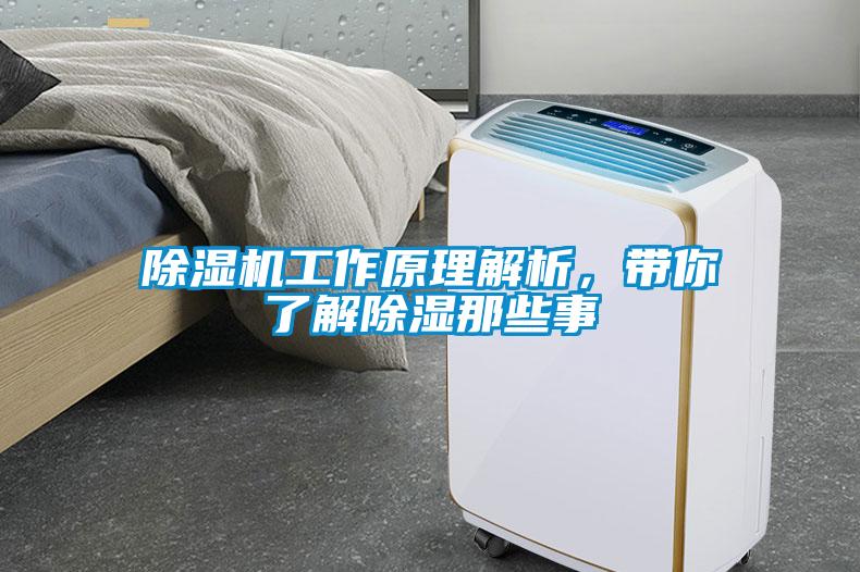 除濕機工作原理解析，帶你了解除濕那些事