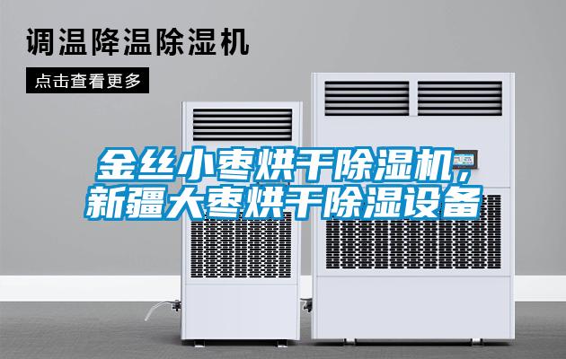 金絲小棗烘干除濕機，新疆大棗烘干除濕設備