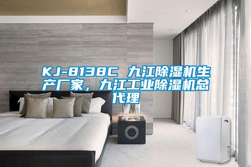 KJ-8138C 九江除濕機生產廠家，九江工業(yè)除濕機總代理