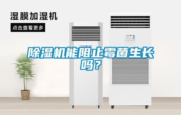 除濕機能阻止霉菌生長嗎?