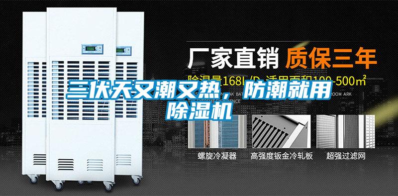 三伏天又潮又熱，防潮就用除濕機