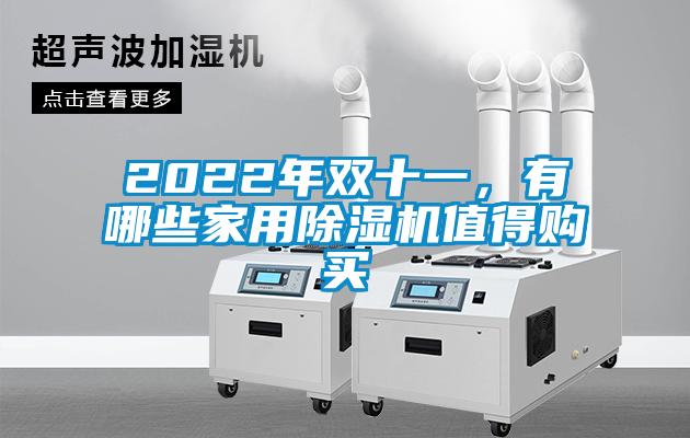 2022年雙十一，有哪些家用除濕機(jī)值得購(gòu)買