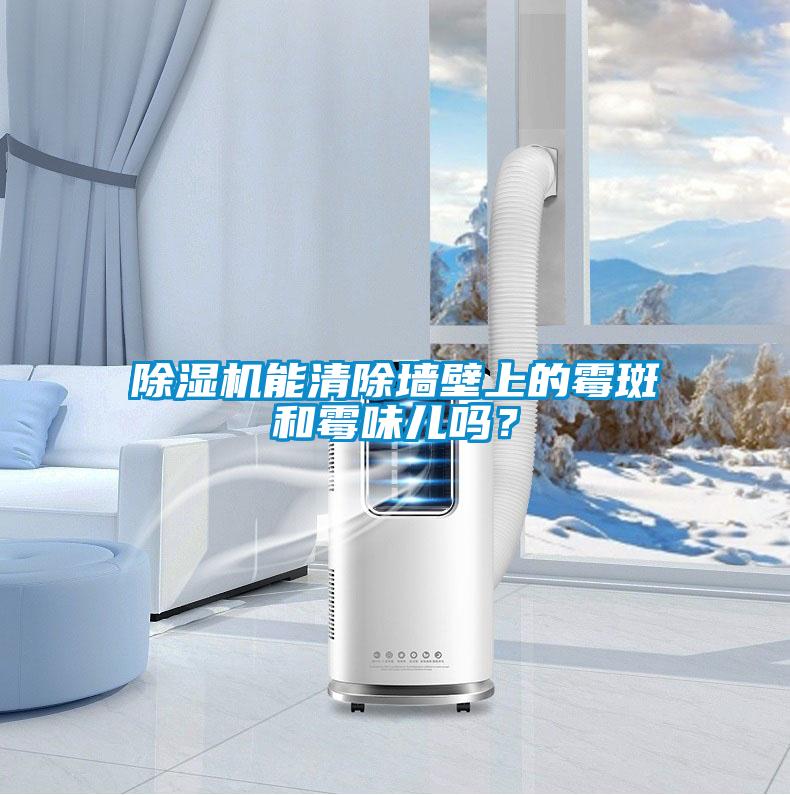 除濕機能清除墻壁上的霉斑和霉味兒嗎？