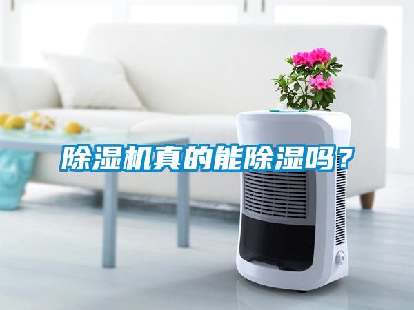 除濕機真的能除濕嗎？
