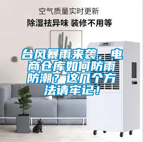 臺風暴雨來襲，電商倉庫如何防雨防潮？這幾個方法請牢記！