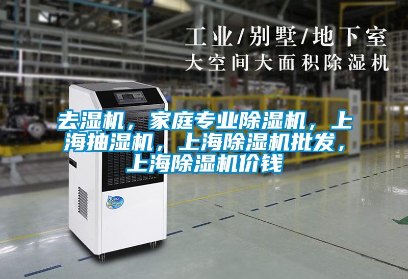 去濕機，家庭專業除濕機，上海抽濕機，上海除濕機批發，上海除濕機價錢