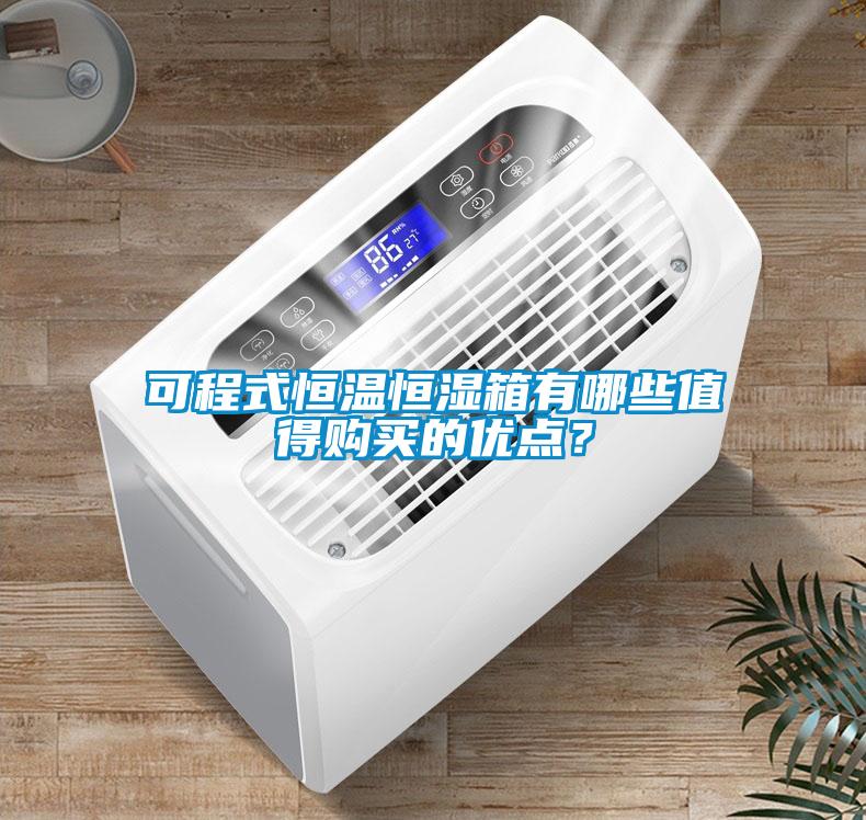 可程式恒溫恒濕箱有哪些值得購(gòu)買的優(yōu)點(diǎn)？