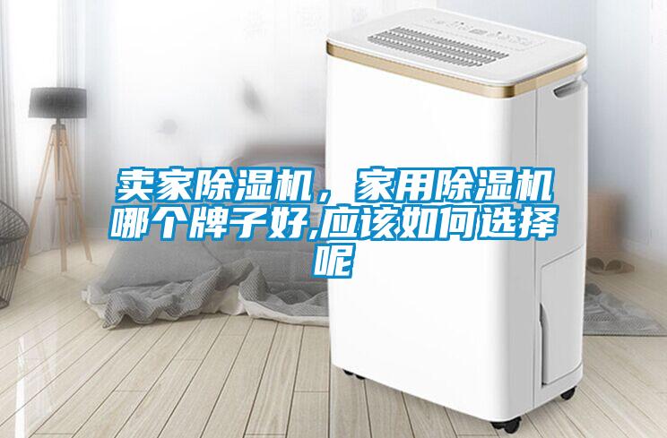 賣家除濕機，家用除濕機哪個牌子好,應(yīng)該如何選擇呢