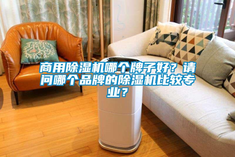 商用除濕機哪個牌子好？請問哪個品牌的除濕機比較專業(yè)？