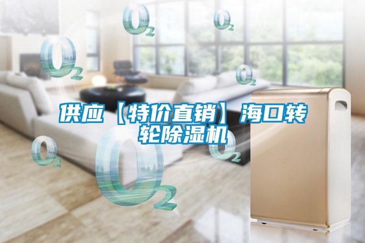 供應(yīng)【特價直銷】海口轉(zhuǎn)輪除濕機(jī)