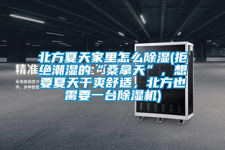 北方夏天家里怎么除濕(拒絕潮濕的“桑拿天”，想要夏天干爽舒適，北方也需要一臺除濕機)