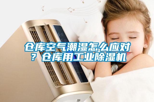 倉庫空氣潮濕怎么應對？倉庫用工業(yè)除濕機