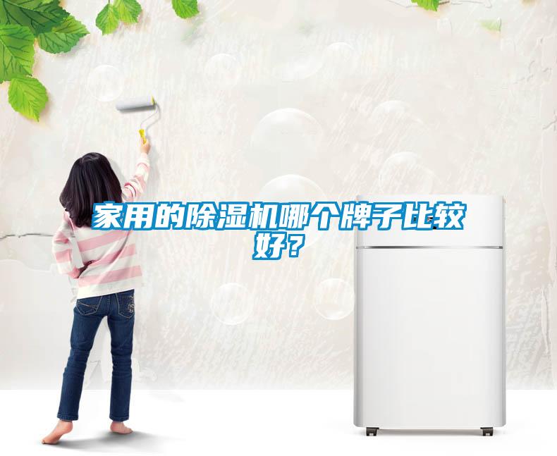 家用的除濕機哪個牌子比較好？