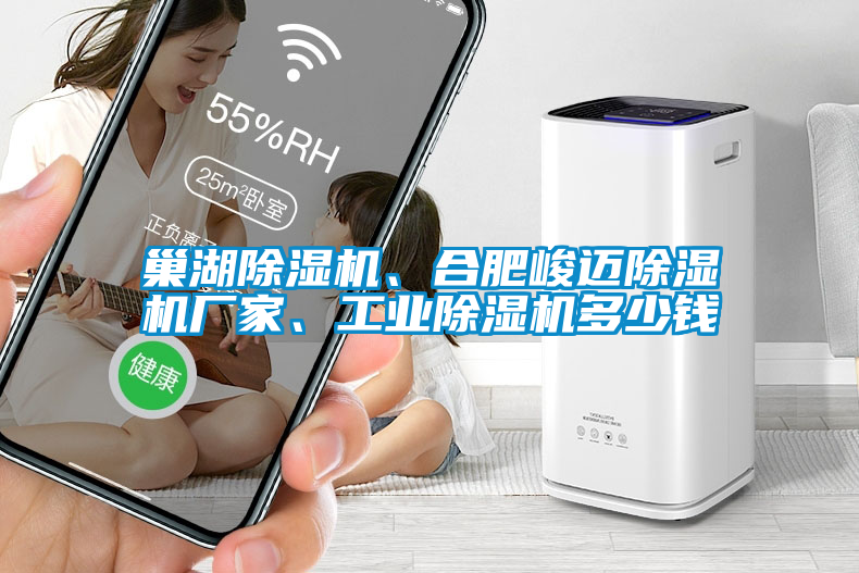 巢湖除濕機(jī)、合肥峻邁除濕機(jī)廠家、工業(yè)除濕機(jī)多少錢