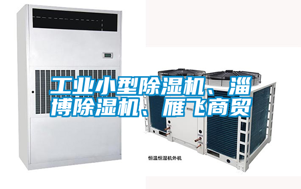 工業(yè)小型除濕機(jī)、淄博除濕機(jī)、雁飛商貿(mào)