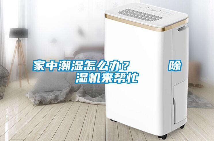 家中潮濕怎么辦？    除濕機來幫忙