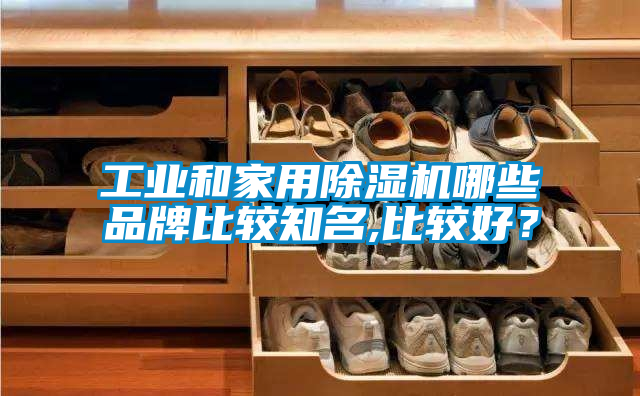 工業(yè)和家用除濕機哪些品牌比較知名,比較好？