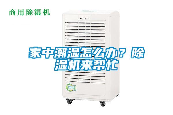 家中潮濕怎么辦？除濕機(jī)來幫忙