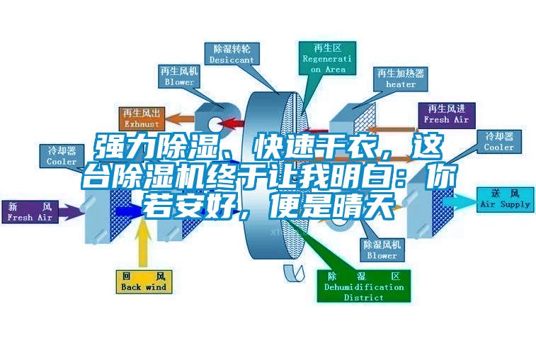 強力除濕、快速干衣，這臺除濕機終于讓我明白：你若安好，便是晴天