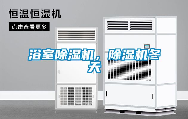 浴室除濕機，除濕機冬天