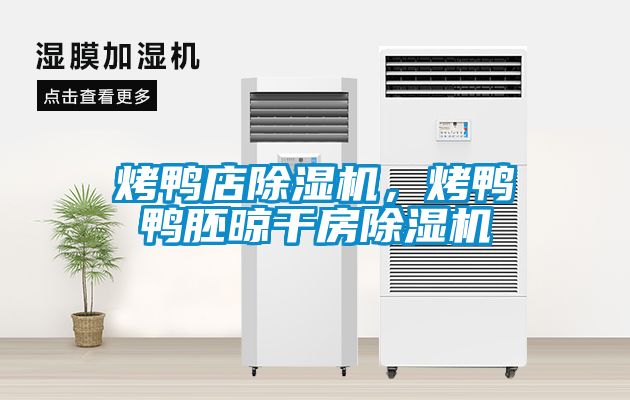 烤鴨店除濕機，烤鴨鴨胚晾干房除濕機