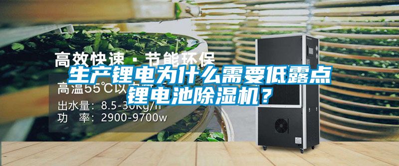 生產鋰電為什么需要低露點鋰電池除濕機？