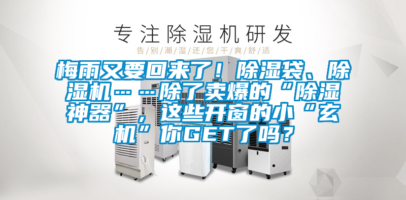 梅雨又要回來(lái)了！除濕袋、除濕機(jī)……除了賣爆的“除濕神器”，這些開(kāi)窗的小“玄機(jī)”你GET了嗎？