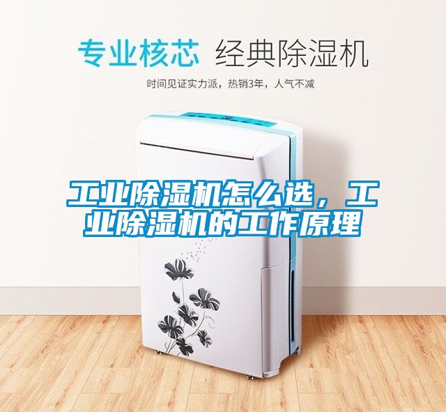 工業除濕機怎么選，工業除濕機的工作原理