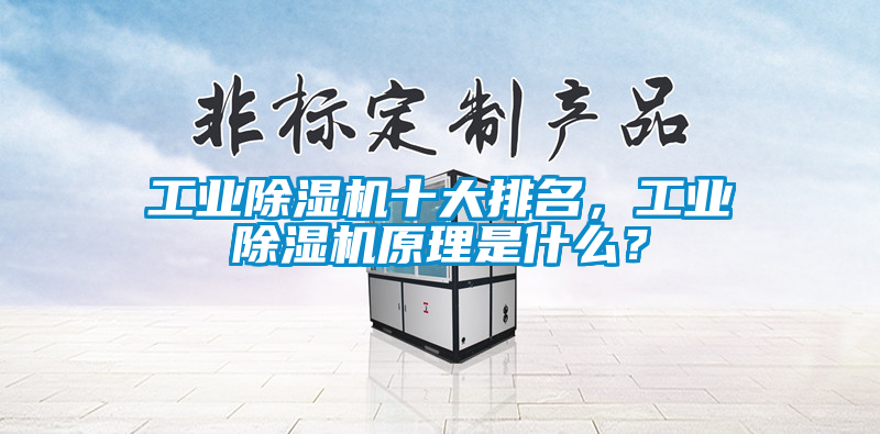 工業除濕機十大排名，工業除濕機原理是什么？
