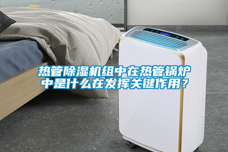 熱管除濕機組中在熱管鍋爐中是什么在發揮關鍵作用？