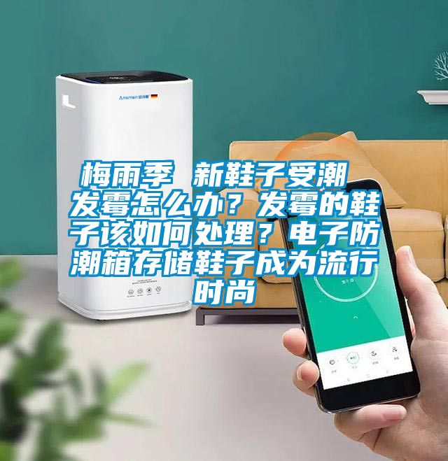梅雨季 新鞋子受潮 發(fā)霉怎么辦？發(fā)霉的鞋子該如何處理？電子防潮箱存儲鞋子成為流行時尚