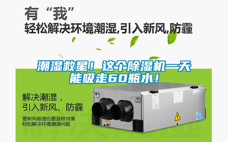 潮濕救星！這個除濕機一天能吸走60瓶水！