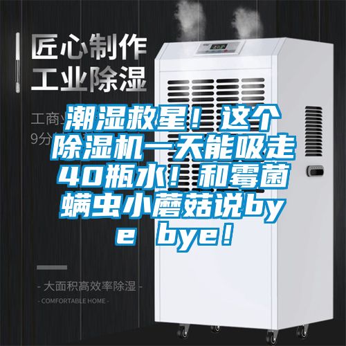 潮濕救星！這個除濕機一天能吸走40瓶水！和霉菌螨蟲小蘑菇說bye bye！