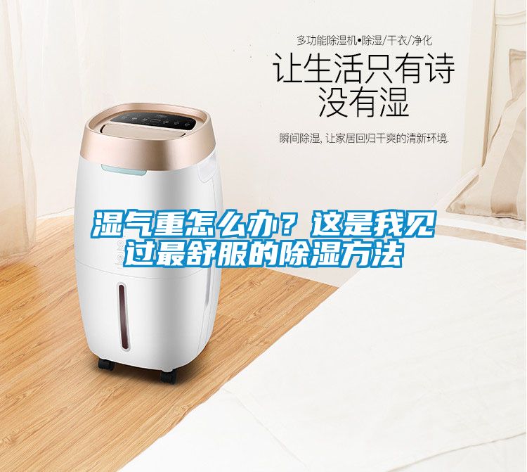 濕氣重怎么辦？這是我見過最舒服的除濕方法