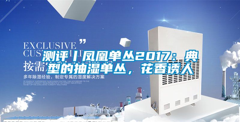 測評(píng)丨鳳凰單叢2017：典型的抽濕單叢，花香誘人
