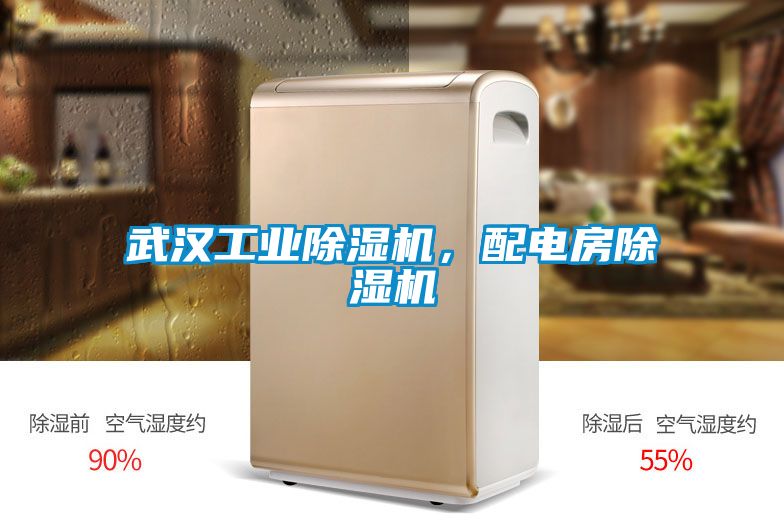 武漢工業除濕機，配電房除濕機