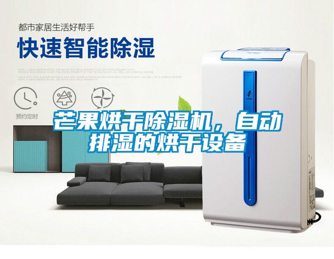 芒果烘干除濕機，自動排濕的烘干設(shè)備