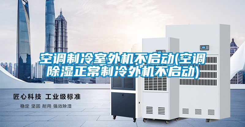 空調(diào)制冷室外機(jī)不啟動(空調(diào)除濕正常制冷外機(jī)不啟動)