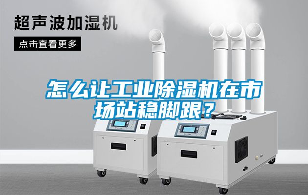 怎么讓工業除濕機在市場站穩腳跟？