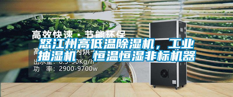 怒江州高低溫除濕機(jī)，工業(yè)抽濕機(jī)  恒溫恒濕非標(biāo)機(jī)器
