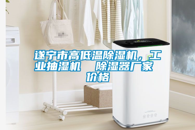 遂寧市高低溫除濕機，工業抽濕機  除濕器廠家 價格