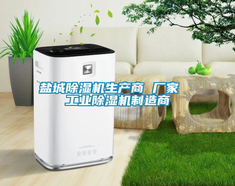 鹽城除濕機(jī)生產(chǎn)商 廠(chǎng)家  工業(yè)除濕機(jī)制造商