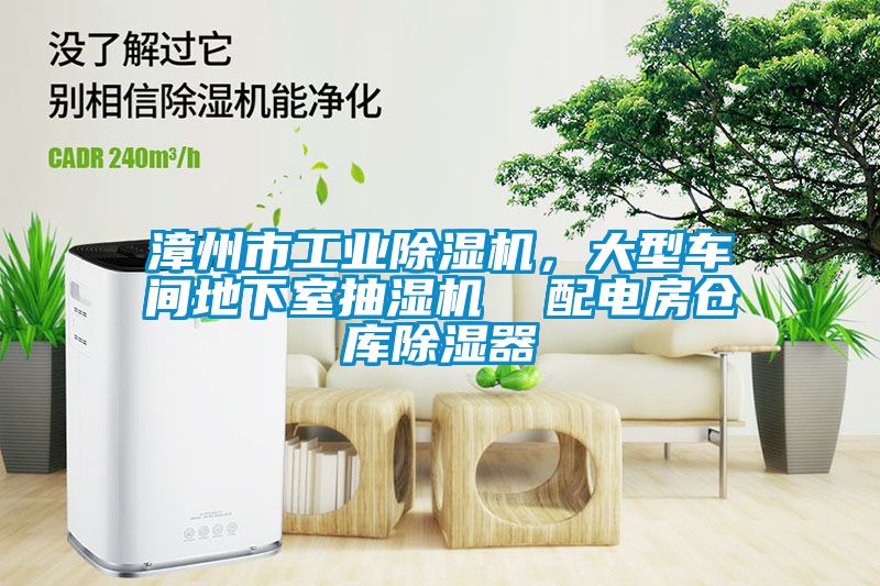 漳州市工業(yè)除濕機(jī)，大型車間地下室抽濕機(jī)  配電房倉(cāng)庫(kù)除濕器