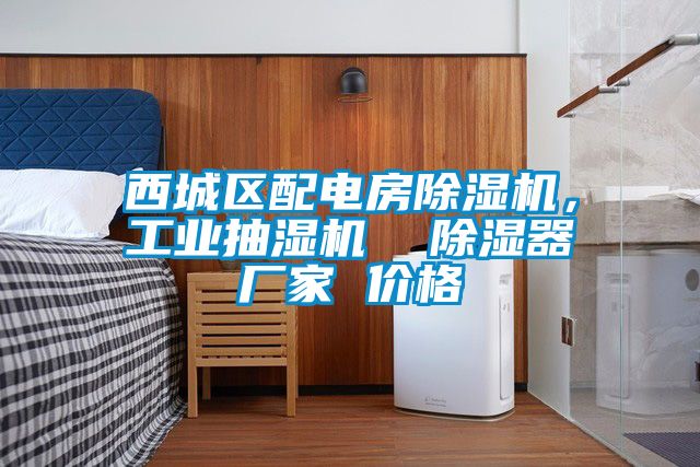 西城區配電房除濕機，工業抽濕機  除濕器廠家 價格
