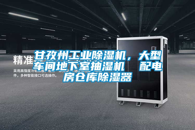 甘孜州工業(yè)除濕機(jī)，大型車(chē)間地下室抽濕機(jī)  配電房倉(cāng)庫(kù)除濕器