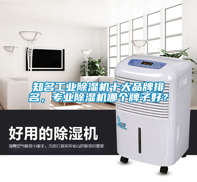 知名工業(yè)除濕機(jī)十大品牌排名，專業(yè)除濕機(jī)哪個(gè)牌子好？