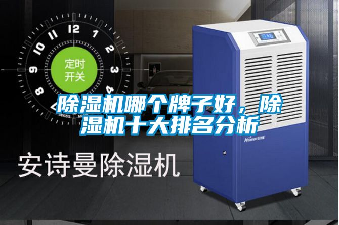 除濕機哪個牌子好，除濕機十大排名分析